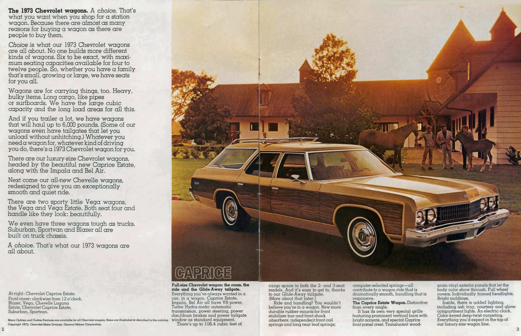 1973 Chevrolet Wagons Brochure Page 3